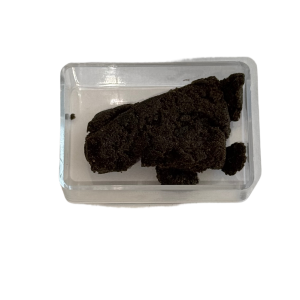 Jungle Cram Hash