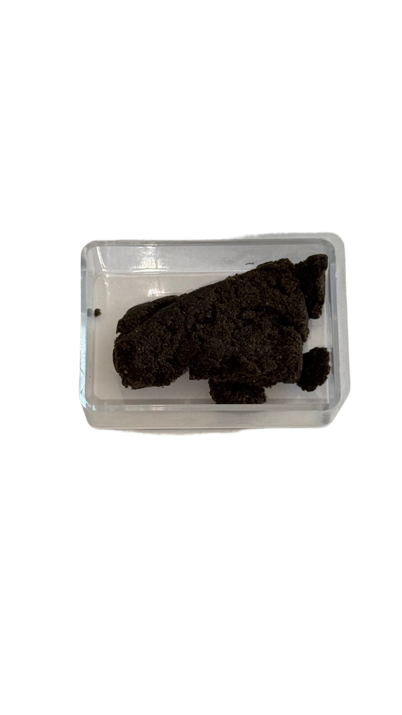 Jungle Cram Hash